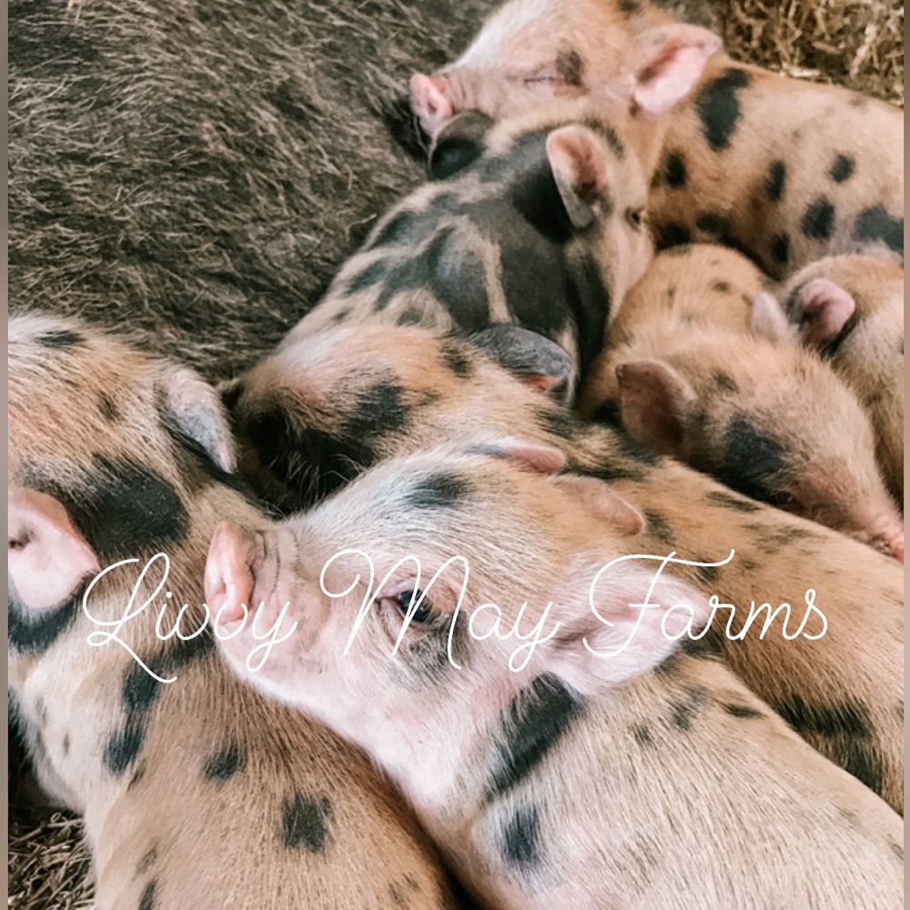 Professional photo print 8x10